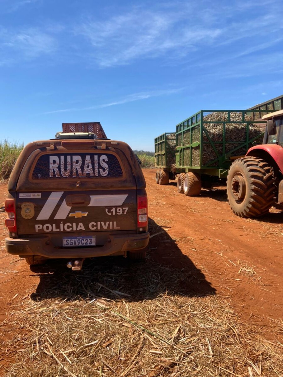 Operação Guardiões do Campo: PCGO prende autor de latrocínio brutal ocorrido em zona rural de Goiás