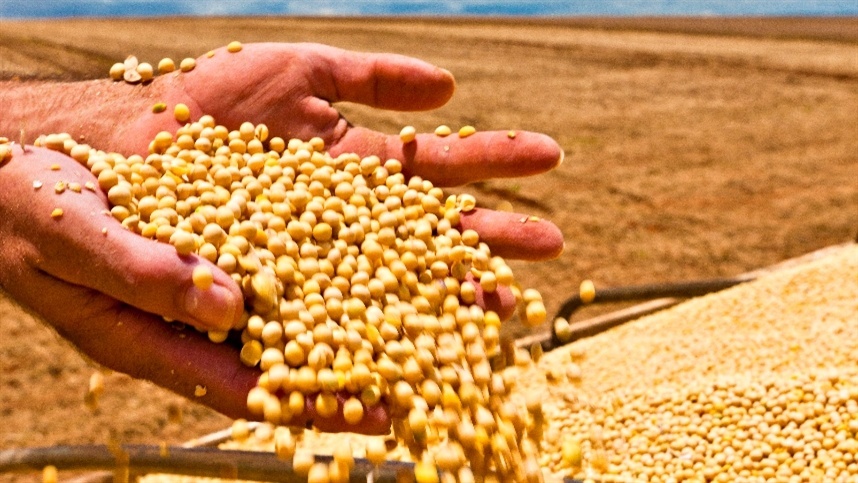 China amplia compras e consolida liderança nas importações globais de soja