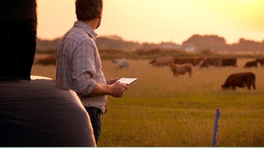 TJ-GO amplia conceito de bem essencial a produtor