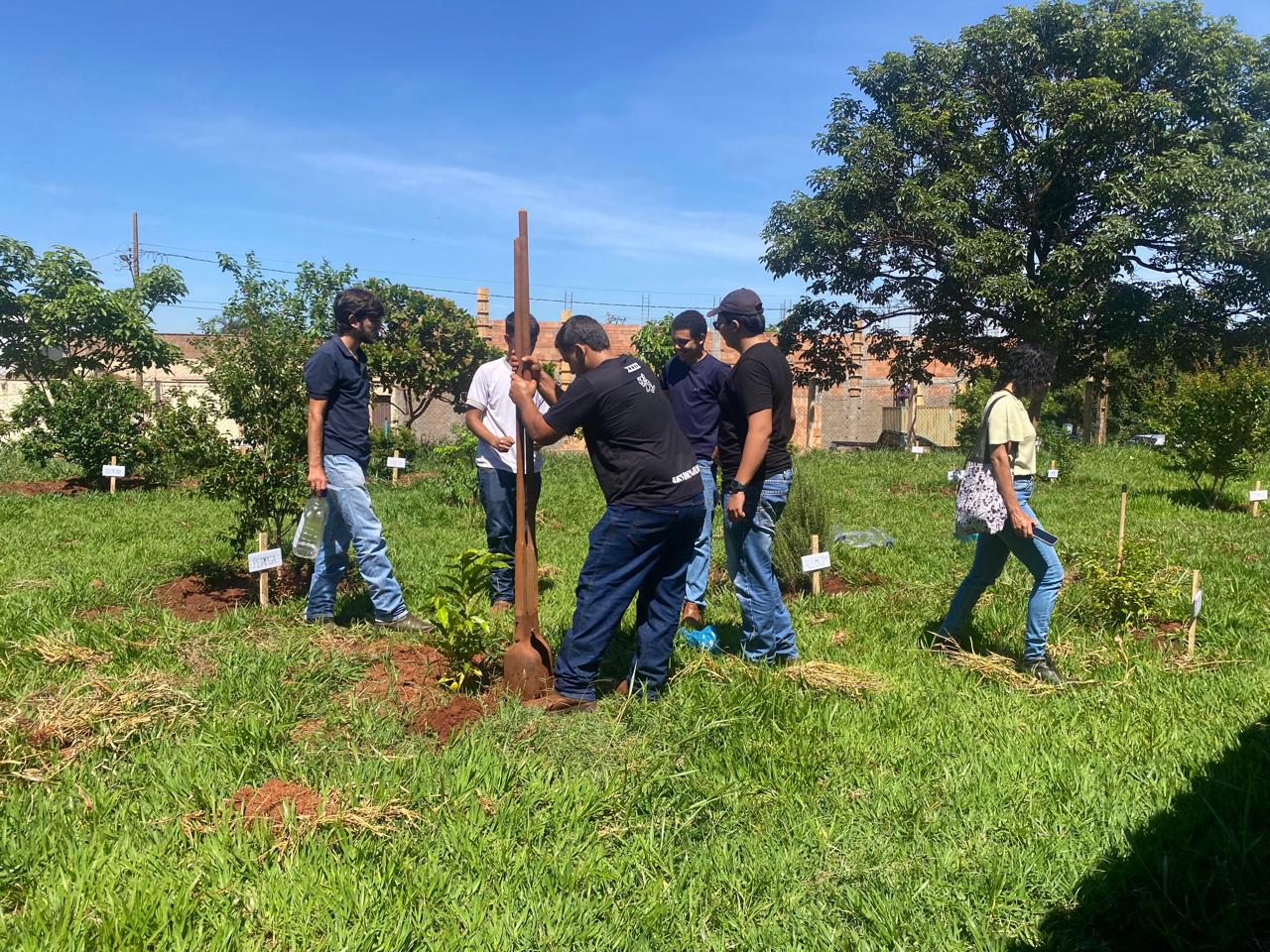 Projeto Agroflorestal promove inclusão e sustentabilidade