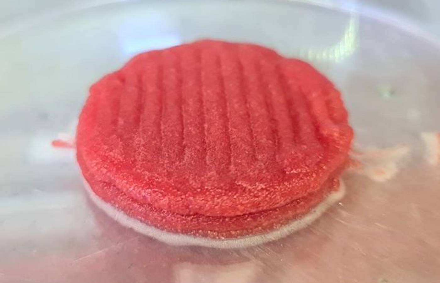 Carne feita em impressora 3D: projeto cria proteína sem abate animal