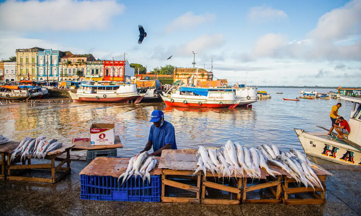 Peixes contaminados trazem riscos à saúde de ribeirinhos na Amazônia