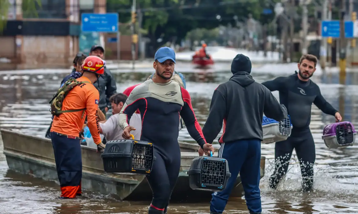 Lei cria Política de Acolhimento para animais resgatados em desastres