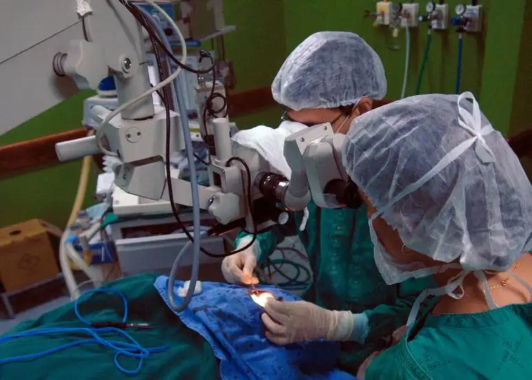 Risco cardíaco dobra para pacientes com doença de Chagas após cirurgia