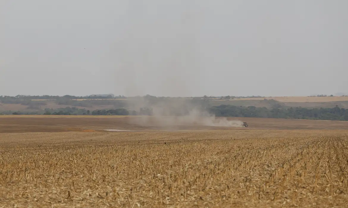 Estudo propõe avanços na rastreabilidade ambiental da soja e da carne