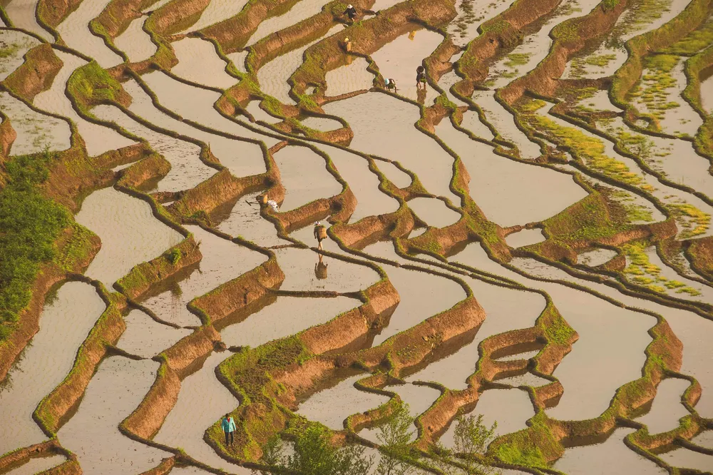 China muda estratégia global e intensifica produção agrícola própria para reduzir dependência da importação de alimentos