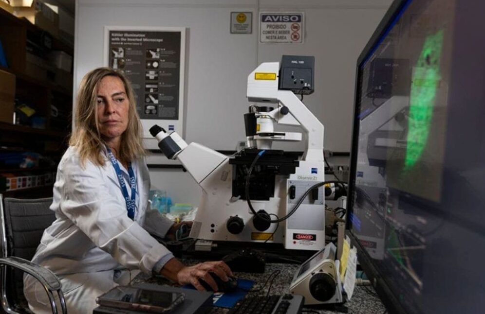 Cientista chora ao precisar negar polilaminina a pacientes após novas restrições; entenda o caso
