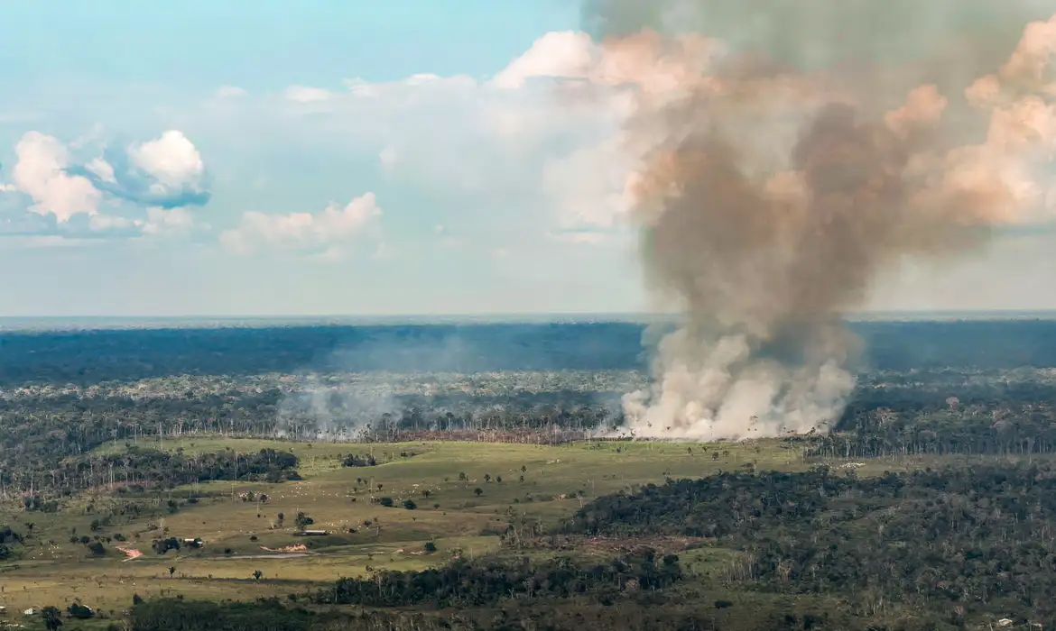 Incêndios avançam sobre o oeste do Pará e deixam ar insalubre