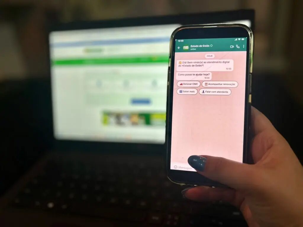 Veja como renovar a CNH e pedir 2ª via da identidade pelo WhatsApp em Goiás
